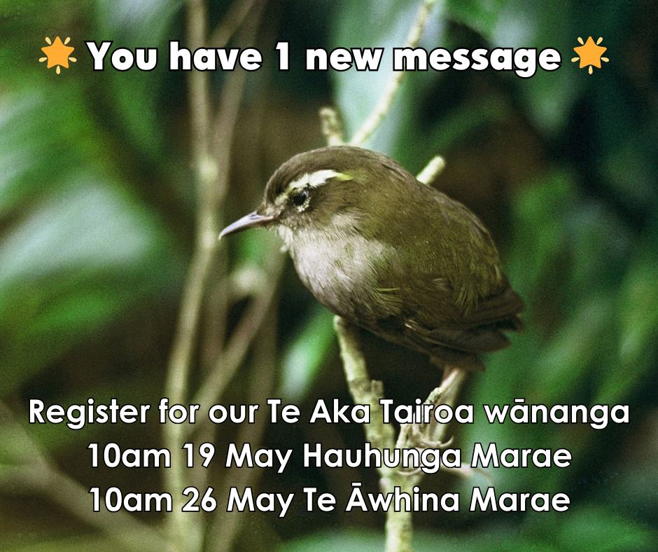 Te Aka Tairoa wānanga registrations open